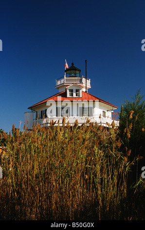 Solomons Insel Maryland, Drum Punkt ist einer der drei Überlebenden Chesapeake Bay Schraube Stapel Leuchttürme Stockfoto