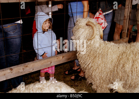 South Hero Apfelfest findet Anfang Oktober in der Lake Champlain Islands Vermont Stockfoto