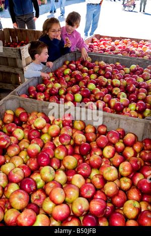 South Hero Apfelfest findet Anfang Oktober in der Lake Champlain Islands Vermont Stockfoto