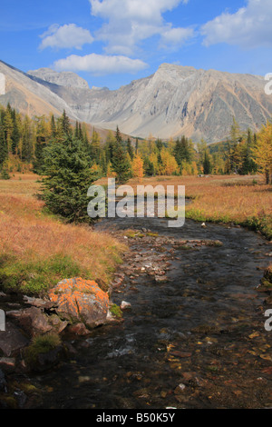 Highwood Meadows Trail im Herbst, Kananaskis Country, Alberta Stockfoto