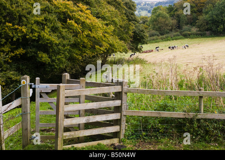 Die Cotswold Weise National Trail Richtung Osten Cliff Wood von Haresfield Beacon, Gloucestershire Stockfoto