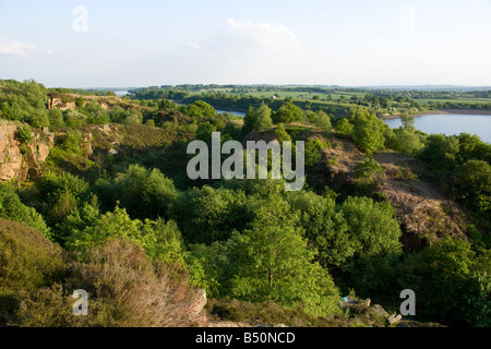 Peeling und neuen Wald kolonisieren die verlassenen Steinbruch Anglezarke. Stockfoto