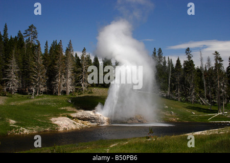 Riverside-Geysir in der oberen Geysir-Becken im Yellowstone Park ausbricht und schießen Dampf & Spray über Firehole River im Juli Stockfoto