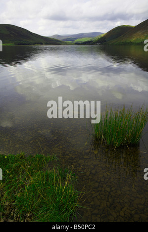 Blick nach Westen über St. Marien Loch in Richtung Megget Wasser. Scottish Borders Stockfoto