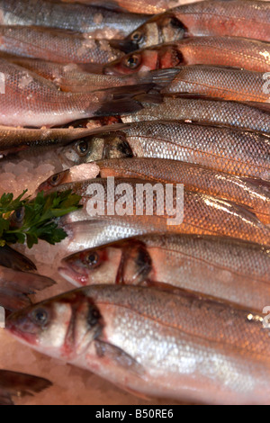 Wilder Wolfsbarsch zum Verkauf im Borough Market, London Stockfoto