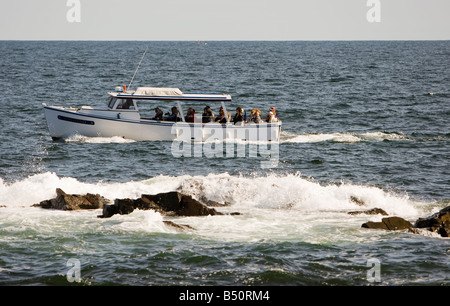 Tourenboot vor der Küste von Maine Stockfoto