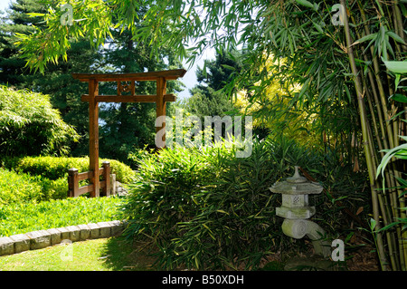 Der japanische Garten der schönen Villa Carlotta am Comer See in Norditalien Stockfoto