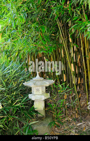 Der japanische Garten in der schönen Villa Carlotta am Comer See in Norditalien Stockfoto