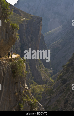 Garaganta de Cares, Nationalpark Picos de Europa, Spanien Stockfoto