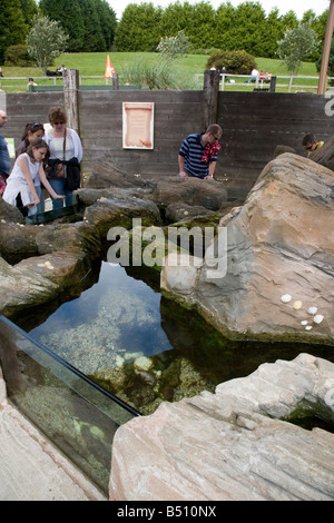 Besucher auf der nationalen Dichtung Heiligtum Gweek cornwall Stockfoto