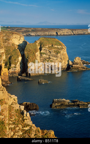 Klippen in der Nähe von South Stack Anglesey North Wales Stockfoto