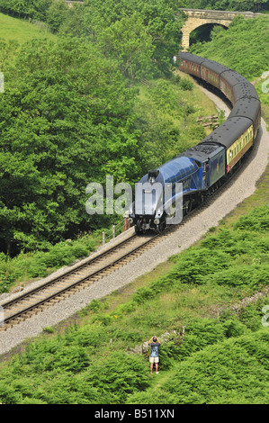 Als Zuschauer beobachtet die Sir Nigel Gresley A4 Klasse 4-6-2 Dampf-Lokomotive schleppen einen Zug über die Yorkshire Moors. Stockfoto