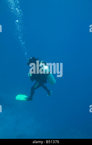 Taucher am Korallenriff im Blue Hole aus Dahab am Roten Meer in Ägypten Stockfoto