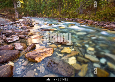 Johnston Canyon Creek, Banff Nationalpark, Alberta, Kanada. Stockfoto