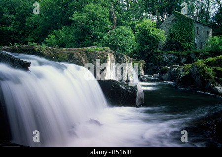 Cenarth fällt Afon Teifi Carmarthenshire Westwales Stockfoto