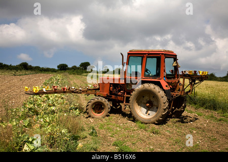 roter Traktor in Kohl Feld cornwall Stockfoto