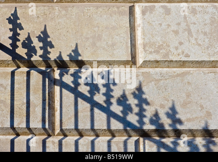 Schatten von einem stacheligen Zaun auf eine Mauer. Stockfoto