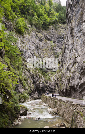 Moldawien Rumänien Europa Bicaz Schlucht im Nationalpark Cheile Bicazului Hasmas Stockfoto