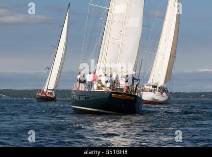 Segel Yachten hartnäckigen Carmella und Freiheit racing Stockfoto