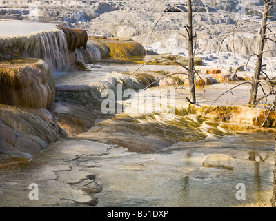 Mammut heißen Quellen im Yellowstone-Nationalpark Stockfoto