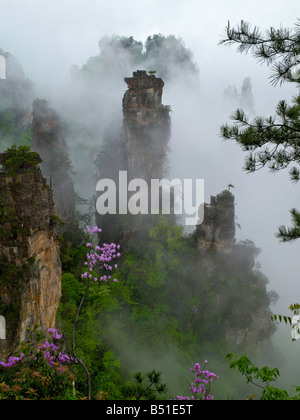 Nebel in den Canyon von ZhangJiaJie Stockfoto