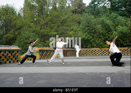 Menschen praktizieren Tai Chi im Beihai-Park, Peking, China. 16. Juni 2008 Stockfoto