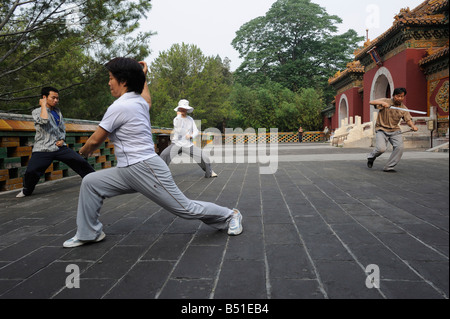 Tai Chi im Beihai-Park, Peking, China. 16. Juni 2008 Stockfoto