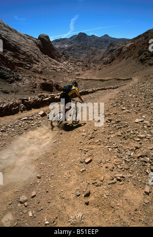 World Champion Mountain Biker Hans Rey Reiten auf Elijahs Becken, Mt. Sinai, Ägypten Stockfoto