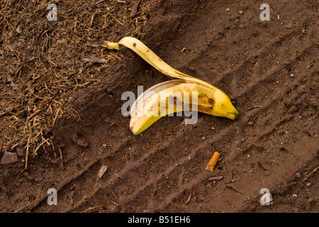 Weggeworfene Bananenschale auf dem Boden liegend Stockfoto