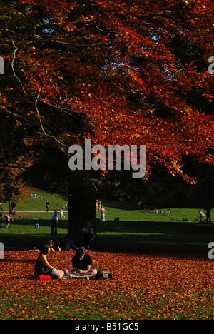 Englischer Garten in München, Herbst Stockfoto