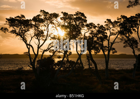 Leschenault Inlet, Bunbury, Western Australia, Australien Stockfoto