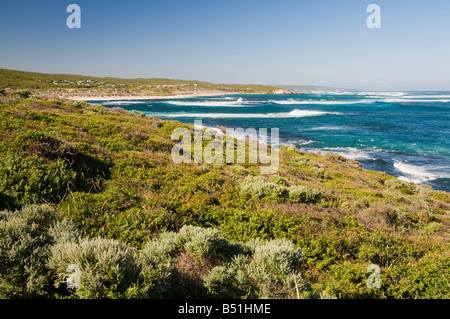 Ufer, Prevelly Park, Margaret River, Western Australia, Australien Stockfoto