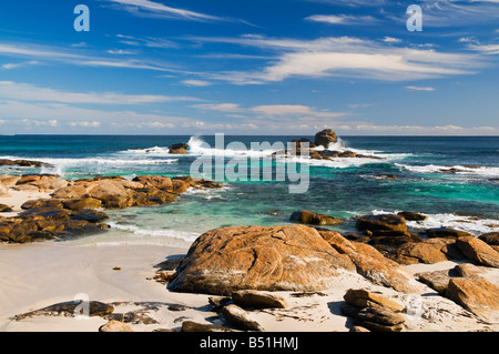 Ufer, Prevelly Park, Margaret River, Western Australia, Australien Stockfoto