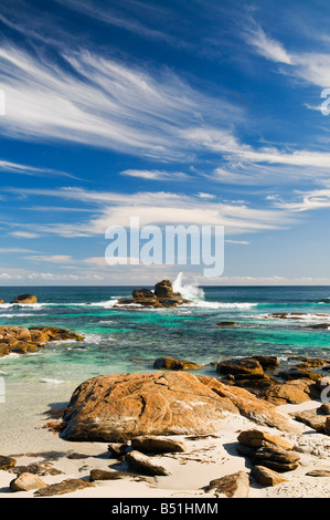 Ufer, Prevelly Park, Margaret River, Western Australia, Australien Stockfoto