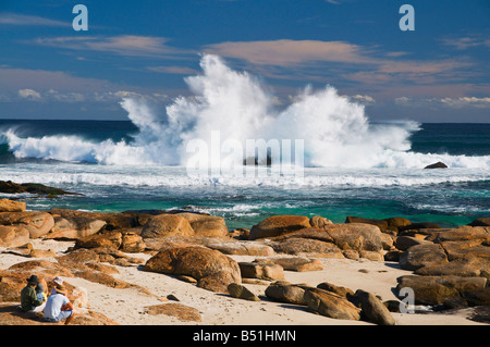 Ufer, Prevelly Park, Margaret River, Western Australia, Australien Stockfoto