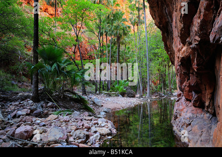 El Questro Gorge, Kimberley, Western Australia, Australien Stockfoto