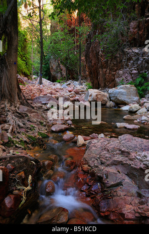 El Questro Gorge, Kimberley, Western Australia, Australien Stockfoto