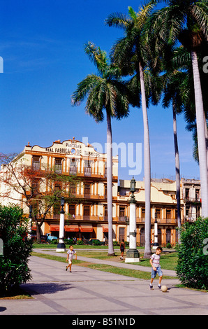 Partagas Zigarrenfabrik, Havanna, Kuba Stockfoto