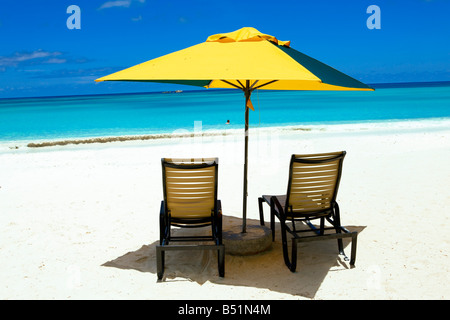 Strand in Praslin Insel Seychellen Stockfoto