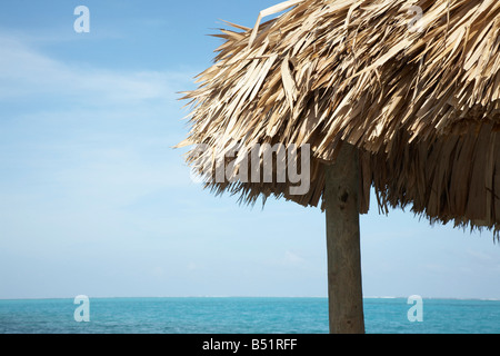 Nahaufnahme von Palapa vom Ozean, Belize Stockfoto