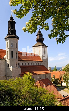 Dom-Kirche in Visby auf Gotland, Schweden Stockfoto