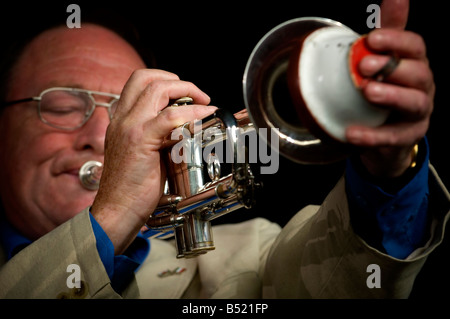 Brecon Jazz Festival 2008 Stockfoto