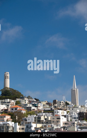 Coit Tower auf dem Telegraph Hill (TransAmerica Pyramid im Hintergrund), San Francisco, Kalifornien Stockfoto