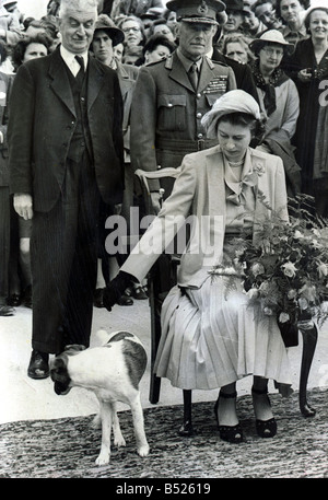 Prinzessin Elizabeth II auf Sark erhalten einen Blumenstrauß Hund zu Füßen sucht verdächtige Pip Terrier Tor stürzt die Zeremonie Königin Young Chuter Ede Innenminister suchen amüsiert Juni 1949 der 1940er Jahre Stockfoto