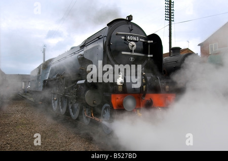A1 Pacific 60163 Tornado ist die erste Dampfmaschine der Hauptlinie in Großbritannien in 50 Jahren gebaut werden. Stockfoto