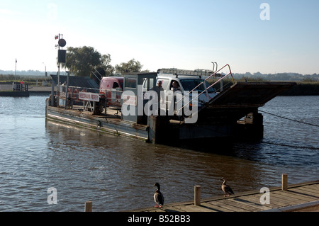 Kette-Fähre über den Fluß Yare im Reedham, Norfolk Broads National Park Stockfoto