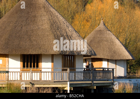 Die Outlook-In pädagogischen Gebäude, Arundel Wildfowl and Wetlands Trust, West Sussex Stockfoto