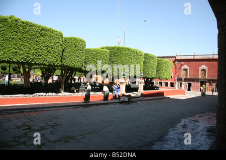 El Jardin in San Miguel de Allende Mexiko gepflegte Bäume El Centro Village Center Street Life Kolonialstadt Kolonialismus Stockfoto