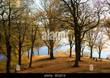 Wanderer genießen Herbst in Anglezarke Buche Wald See Stockfoto