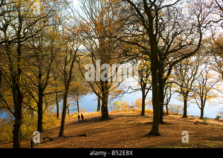 Wanderer genießen Herbst in Anglezarke Buche Wald See Stockfoto